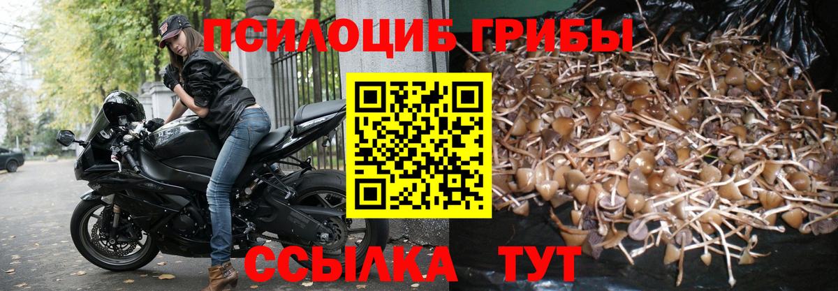Галлюциногенные грибы мухоморы  Вход с VPN  Чехов 