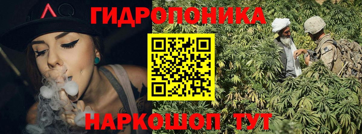 Каннабис VHQ  Вход с VPN  Марихуана конопля  МАРИХУАНА Bruce Banner  Чехов  Каннабис White Widow 